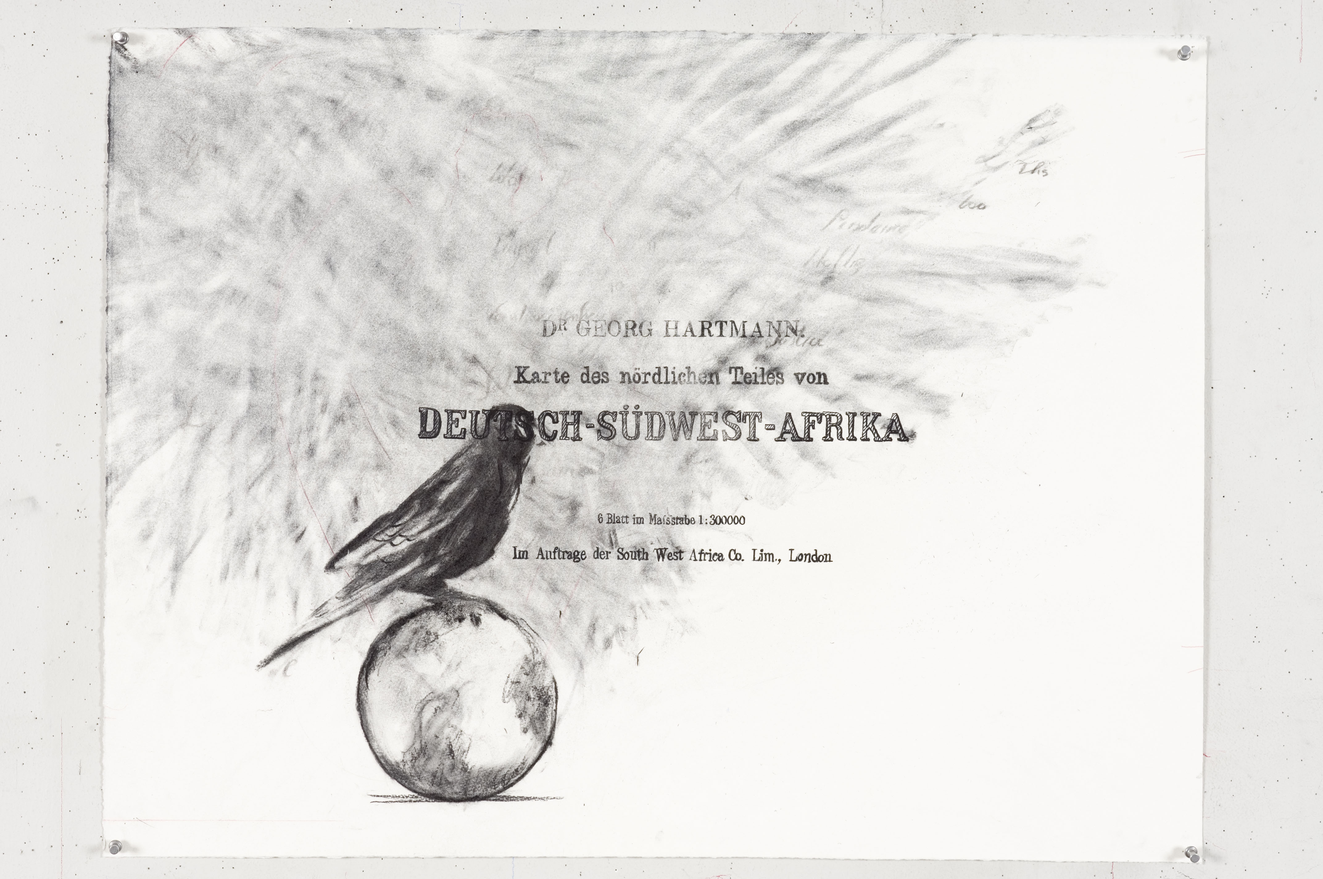Drawing for Black Box / Chambre Noire (Bird on Globe)